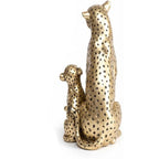 Leopardo madre e hijo