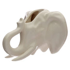 Cabeza de Elefante
