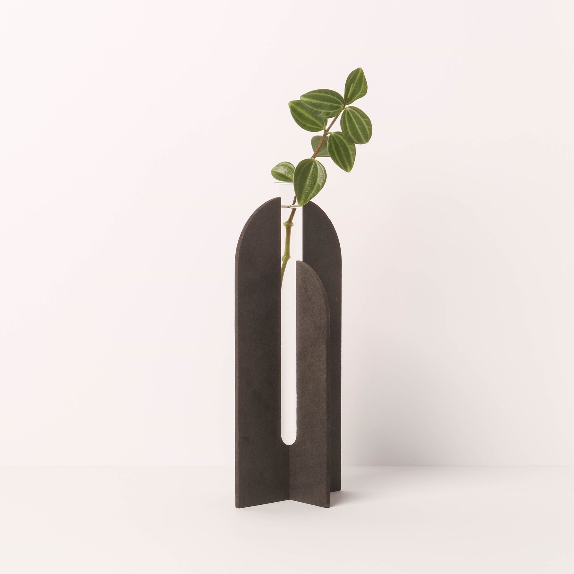 Florero Segovia